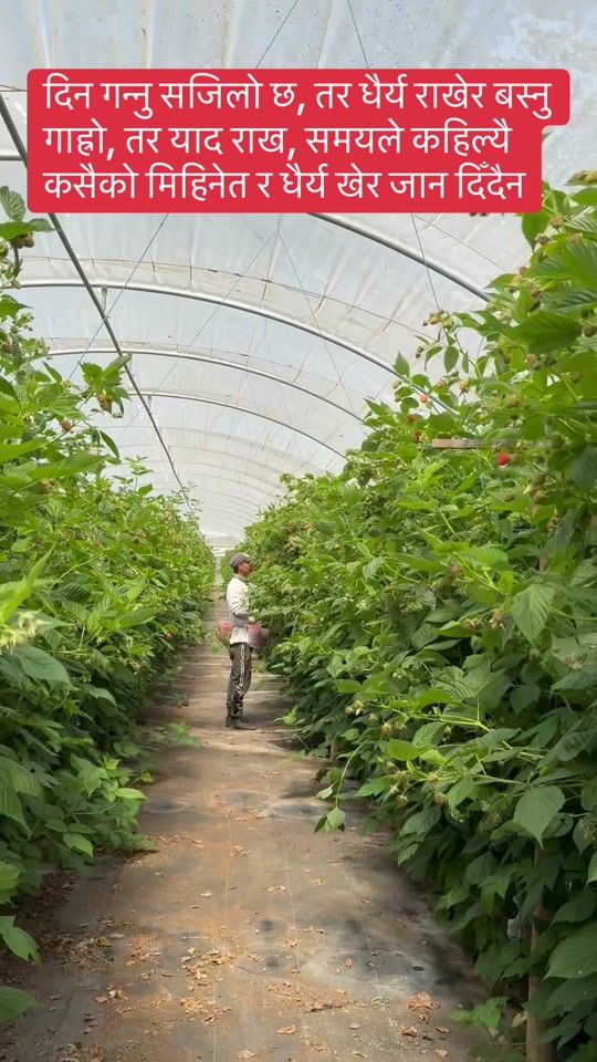 TikTok video thumbnail by reetu.kecy