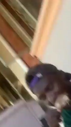 TikTok video thumbnail by yardahlee2567