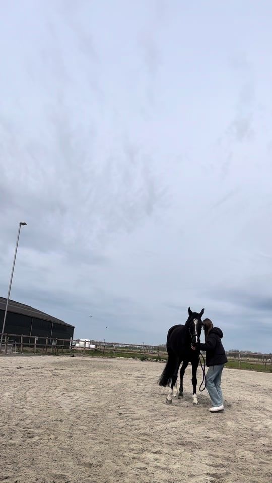 TikTok video thumbnail by eqq_jill