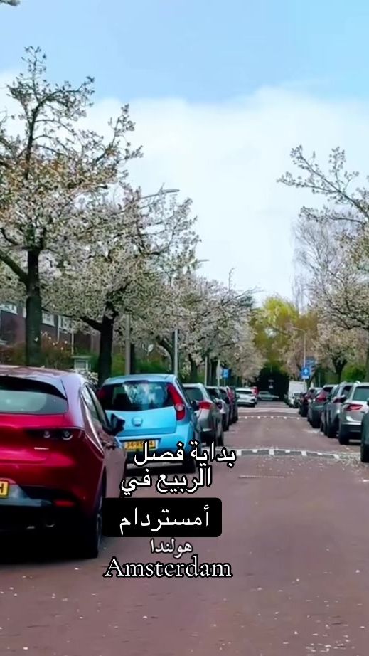 TikTok video thumbnail by abdelamsterdam