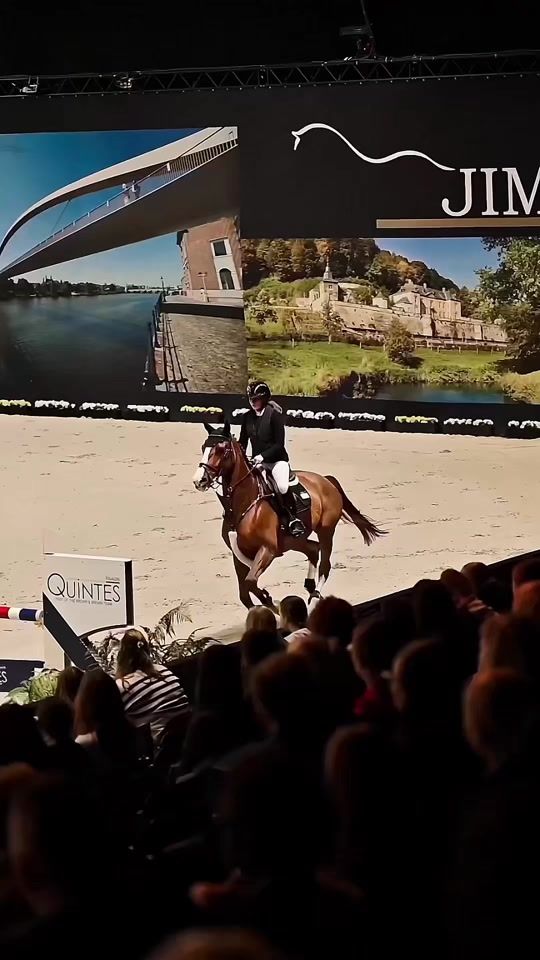 TikTok video thumbnail by equi_chiaravdlinden