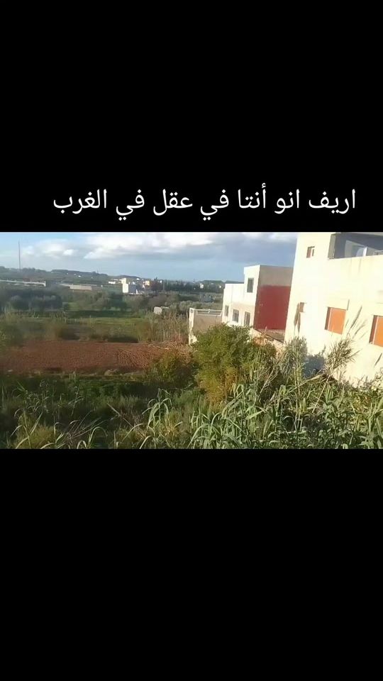 TikTok video thumbnail by antwerpen104