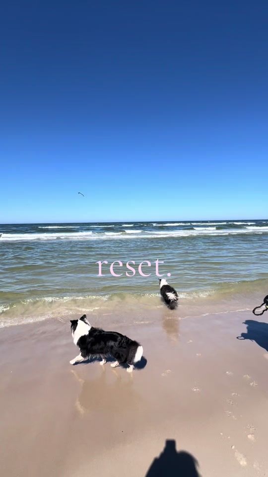TikTok video thumbnail by agataladkowska