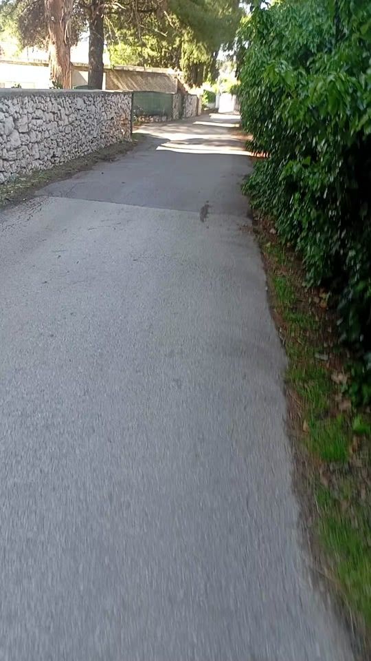 TikTok video thumbnail by maro76439