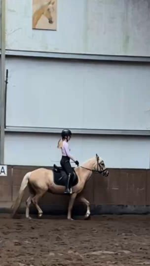 TikTok video thumbnail by aafabienne