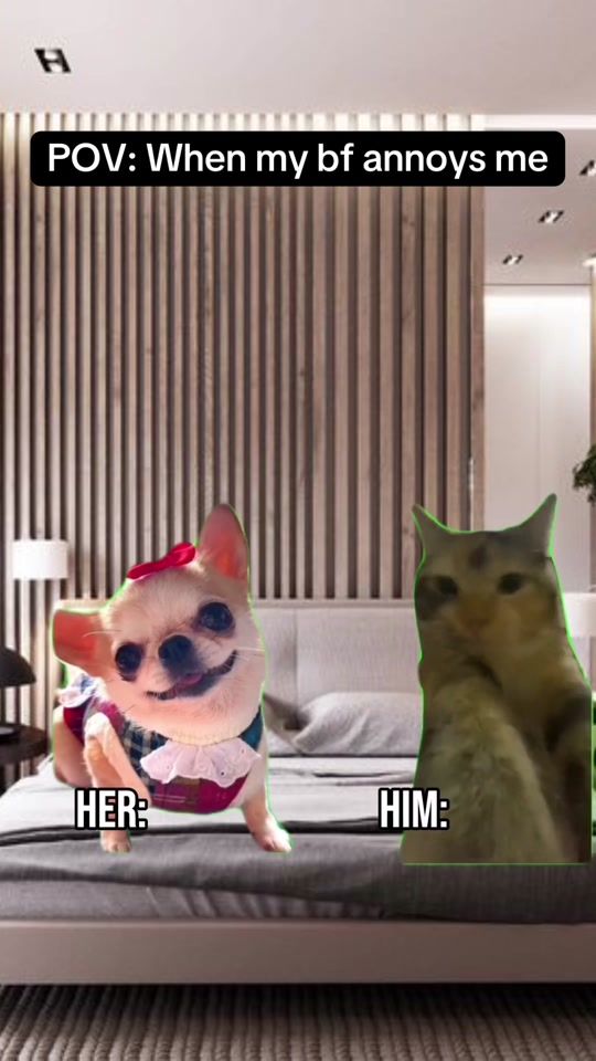 TikTok video thumbnail by notreallyrick