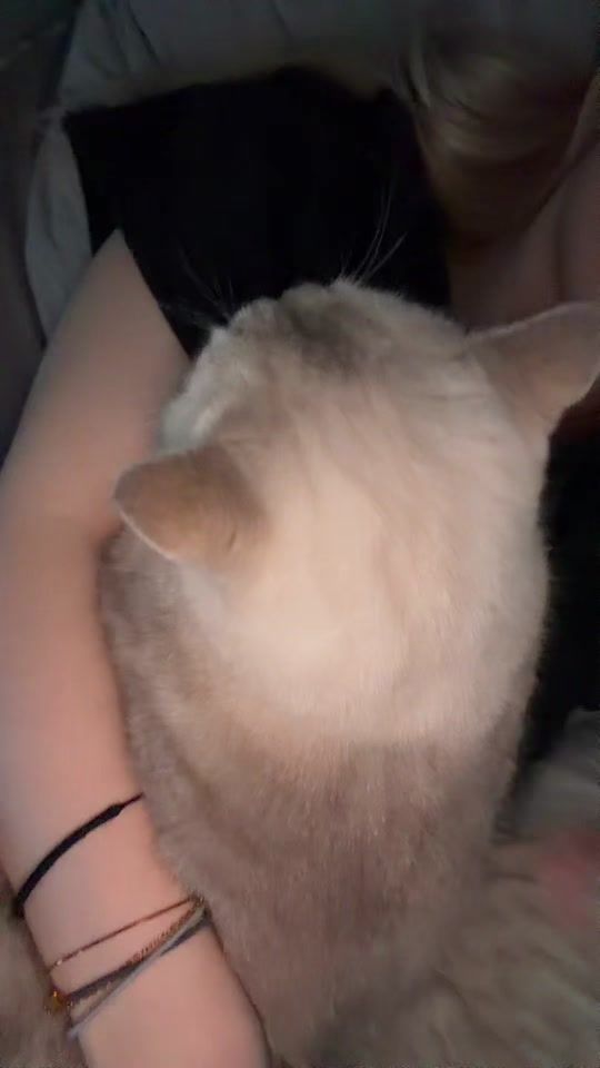 TikTok video thumbnail by mariexln