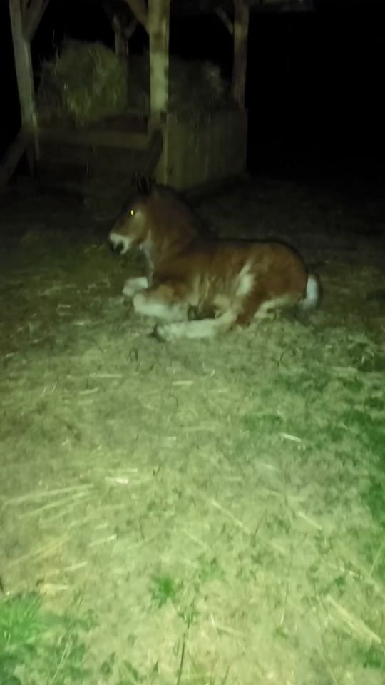 TikTok video thumbnail by itamihai2