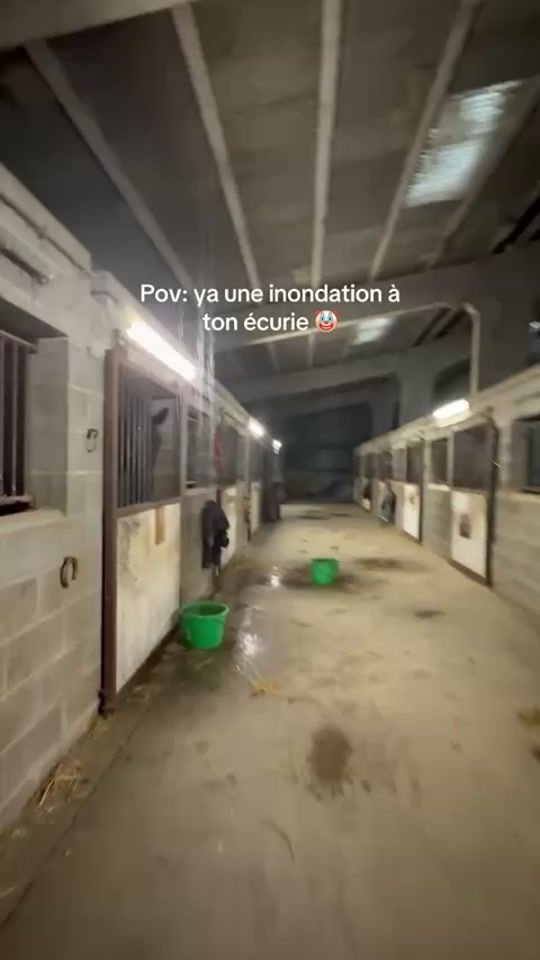TikTok video thumbnail by 1coeur.pie