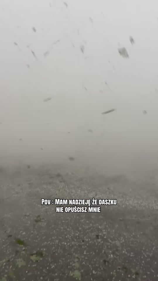 TikTok video thumbnail by hubistormhunter