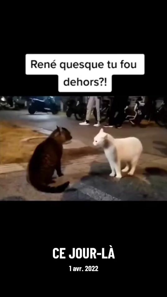 TikTok video thumbnail by tahcitop