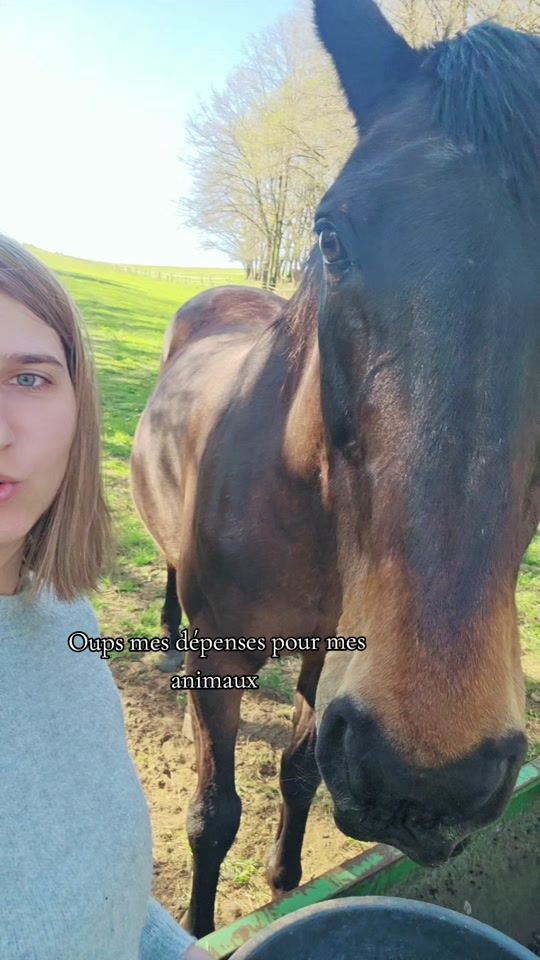 TikTok video thumbnail by maman.fille01