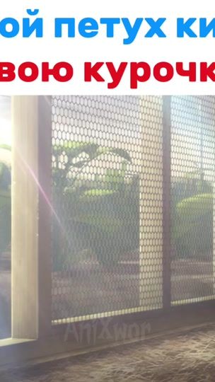 TikTok video thumbnail by anixwor