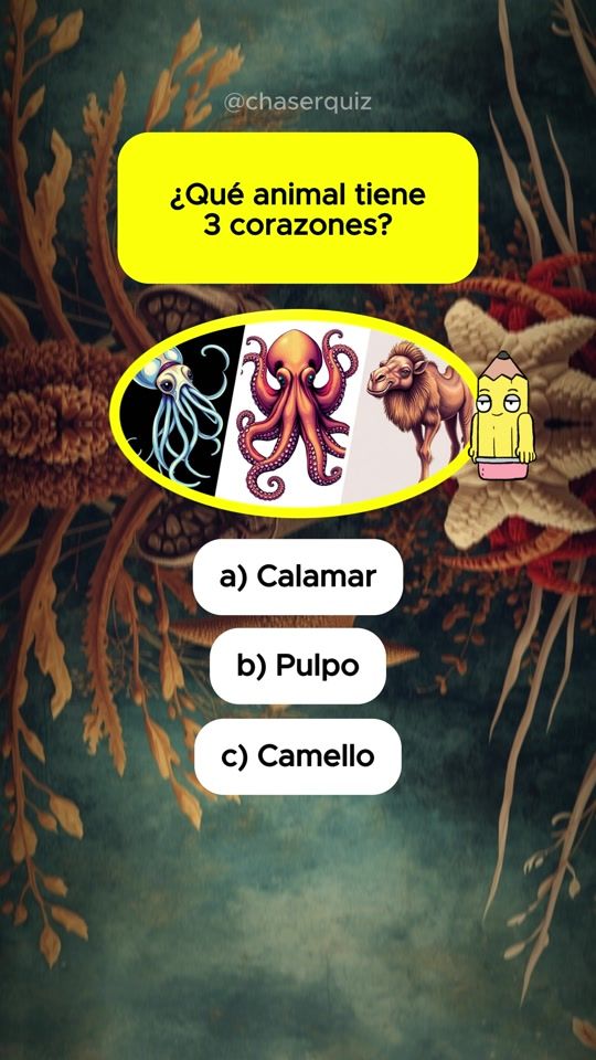 TikTok video thumbnail by chaserquiz