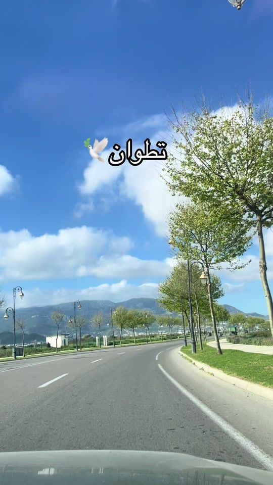 TikTok video thumbnail by minouche102