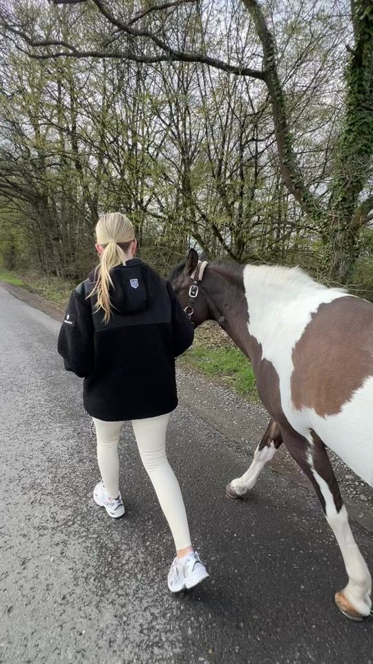 TikTok video thumbnail by lunasponyacc