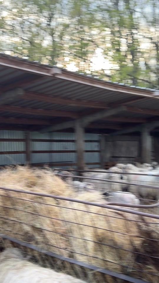 TikTok video thumbnail by roxanambud