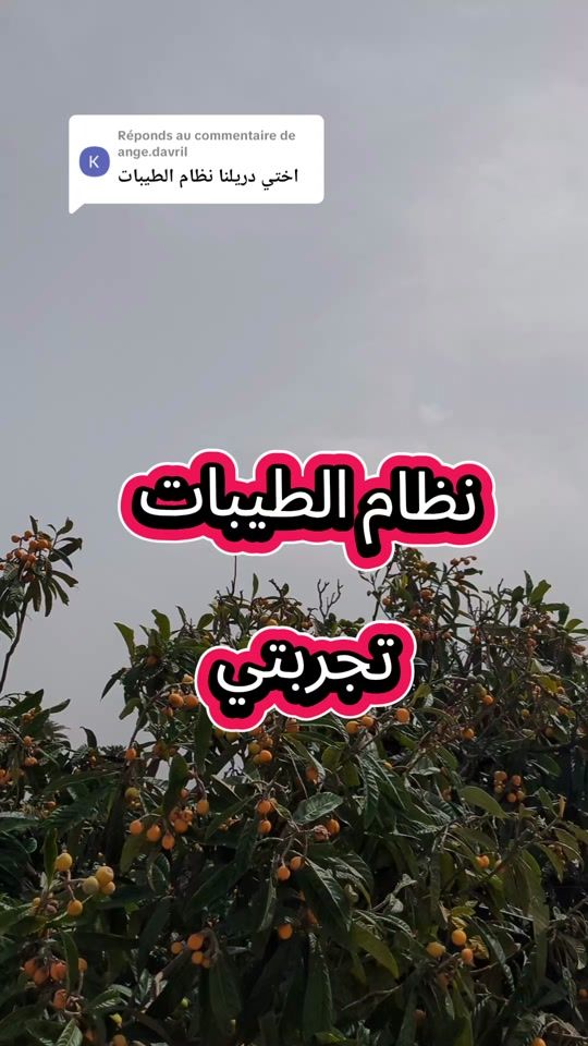 TikTok video thumbnail by raayaaaaaaa1