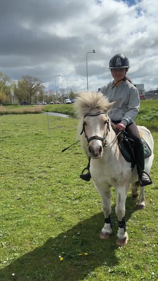 TikTok video thumbnail by equi_santje1