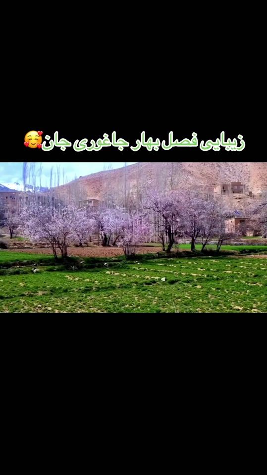 TikTok video thumbnail by roya.0102