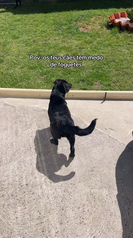 TikTok video thumbnail by carlosilva._