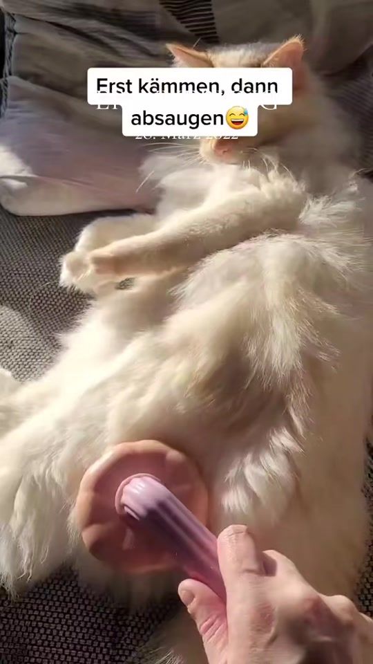 TikTok video thumbnail by alexandra91176