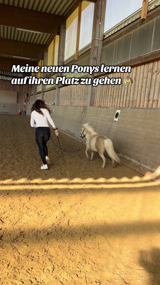 TikTok video thumbnail by dancinghorses_official