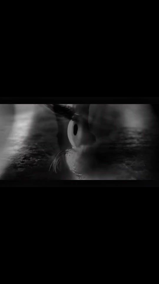 TikTok video thumbnail by hitrecordsofficial