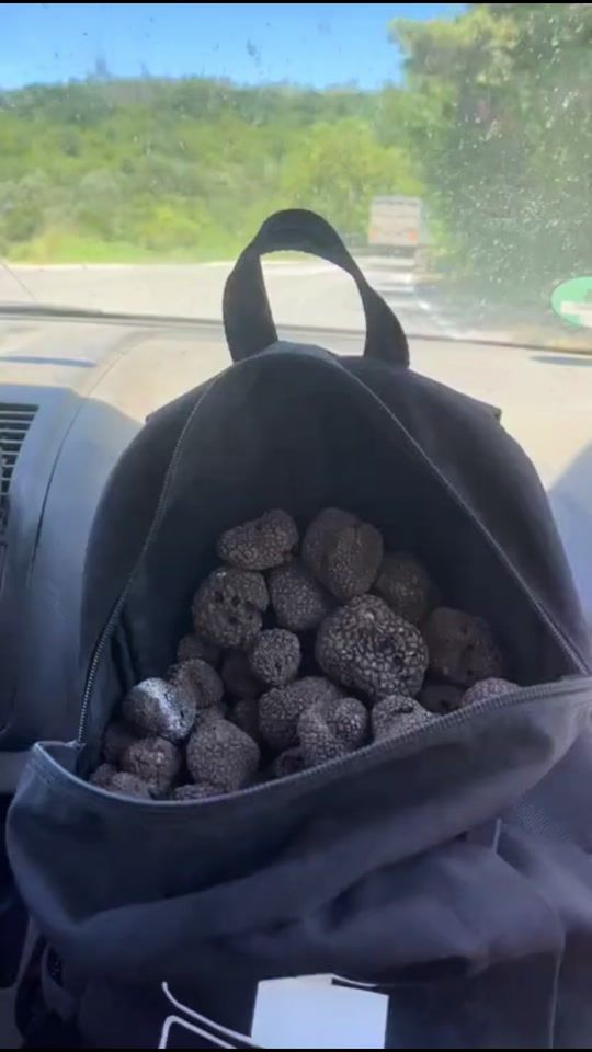 TikTok video thumbnail by kukata_92