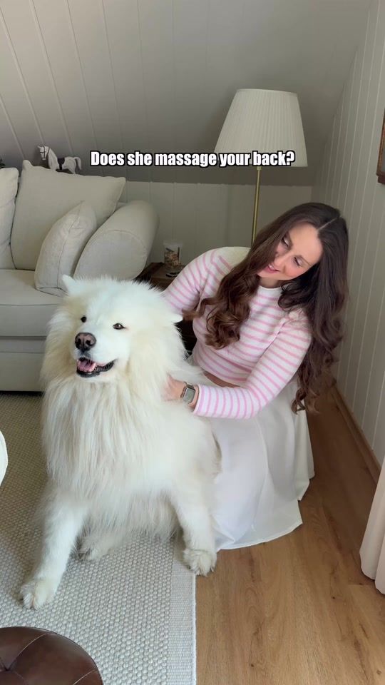 TikTok video thumbnail by wanderlust_samoyed