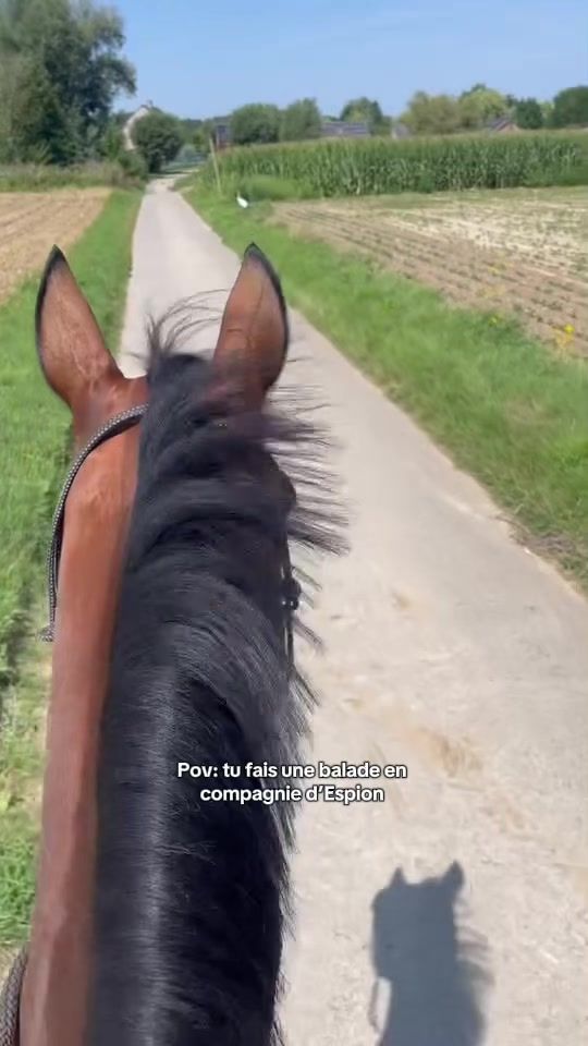 TikTok video thumbnail by clara.mrl15
