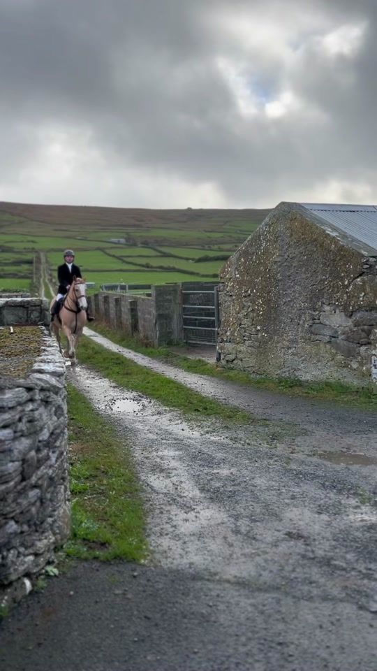 TikTok video thumbnail by sandfieldstables