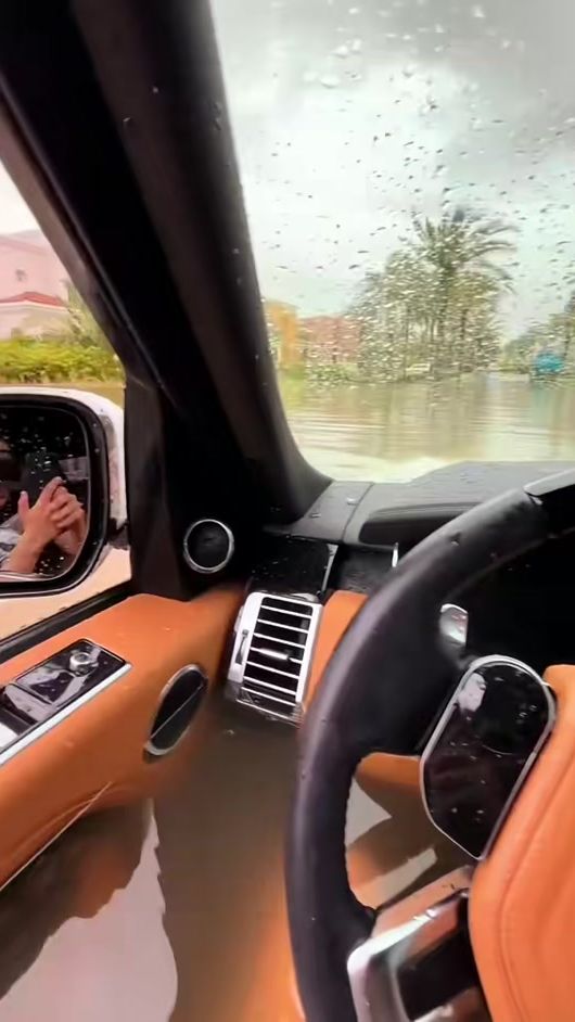 TikTok video thumbnail by stallone_starz