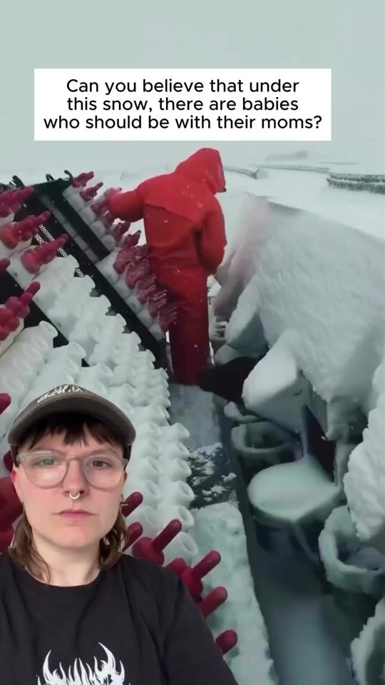 TikTok video thumbnail by vegan.f.t.a