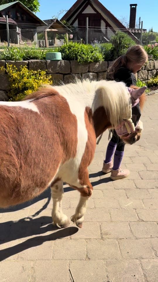 TikTok video thumbnail by dream.d.b