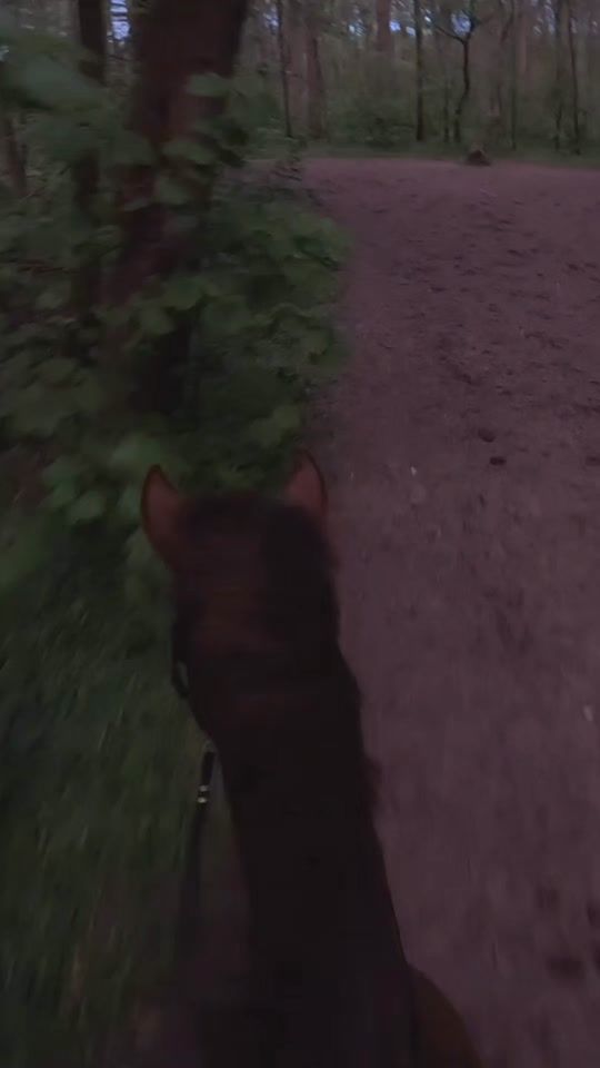 TikTok video thumbnail by davesylvana