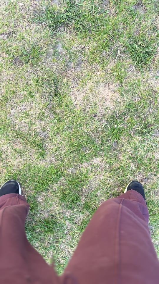 TikTok video thumbnail by keppihevostalli_nadinav