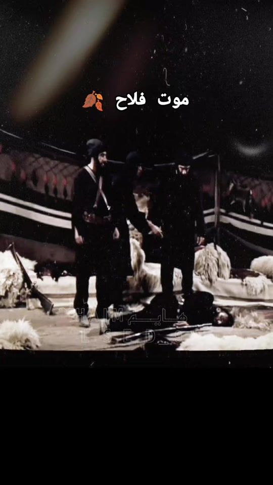 TikTok video thumbnail by lsed_9