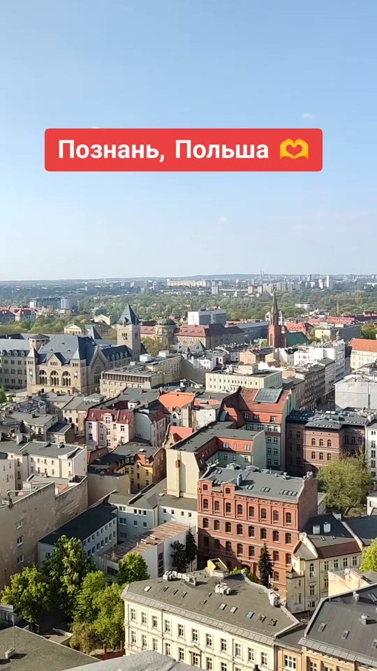 TikTok video thumbnail by dima_kesh_official