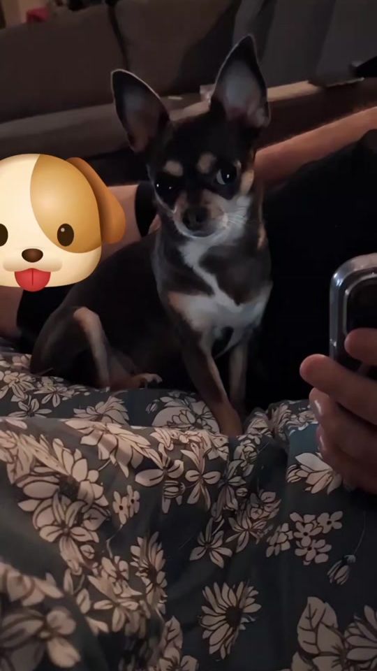 TikTok video thumbnail by yvetteyvette55