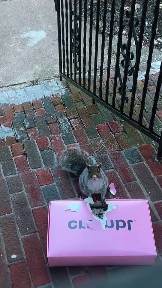 TikTok video thumbnail by sacai35