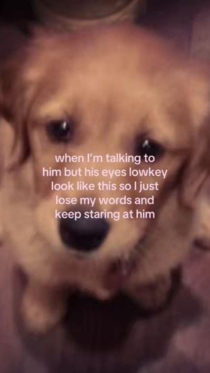 TikTok video thumbnail by heartsforanakinskywalker
