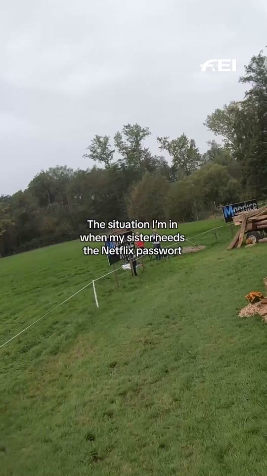 TikTok video thumbnail by fei_horse_world