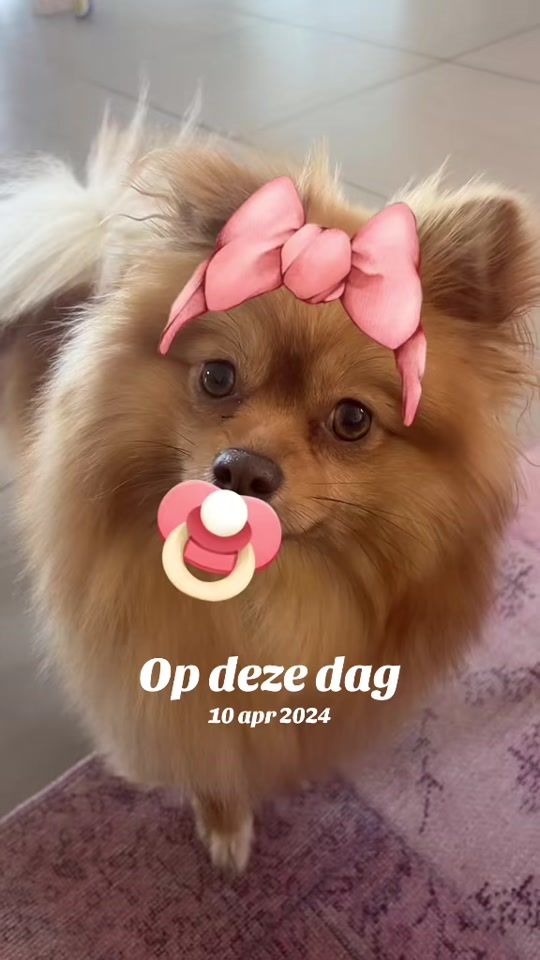 TikTok video thumbnail by mamadebbyke