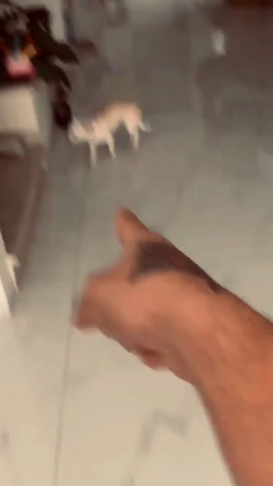 TikTok video thumbnail by niki_party