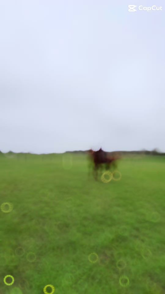 TikTok video thumbnail by le_cavalier49
