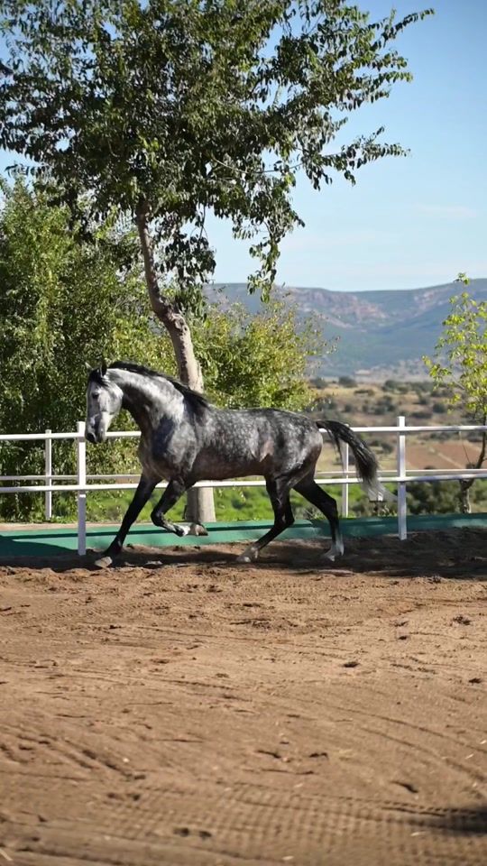 TikTok video thumbnail by valdevinas