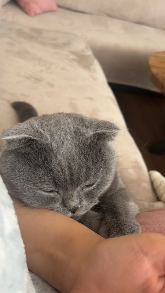 TikTok video thumbnail by coco69023