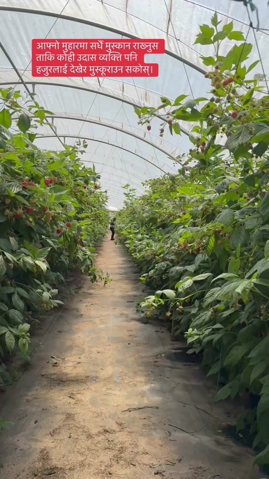 TikTok video thumbnail by reetu.kecy