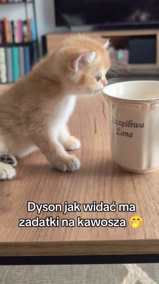 TikTok video thumbnail by drapudrap